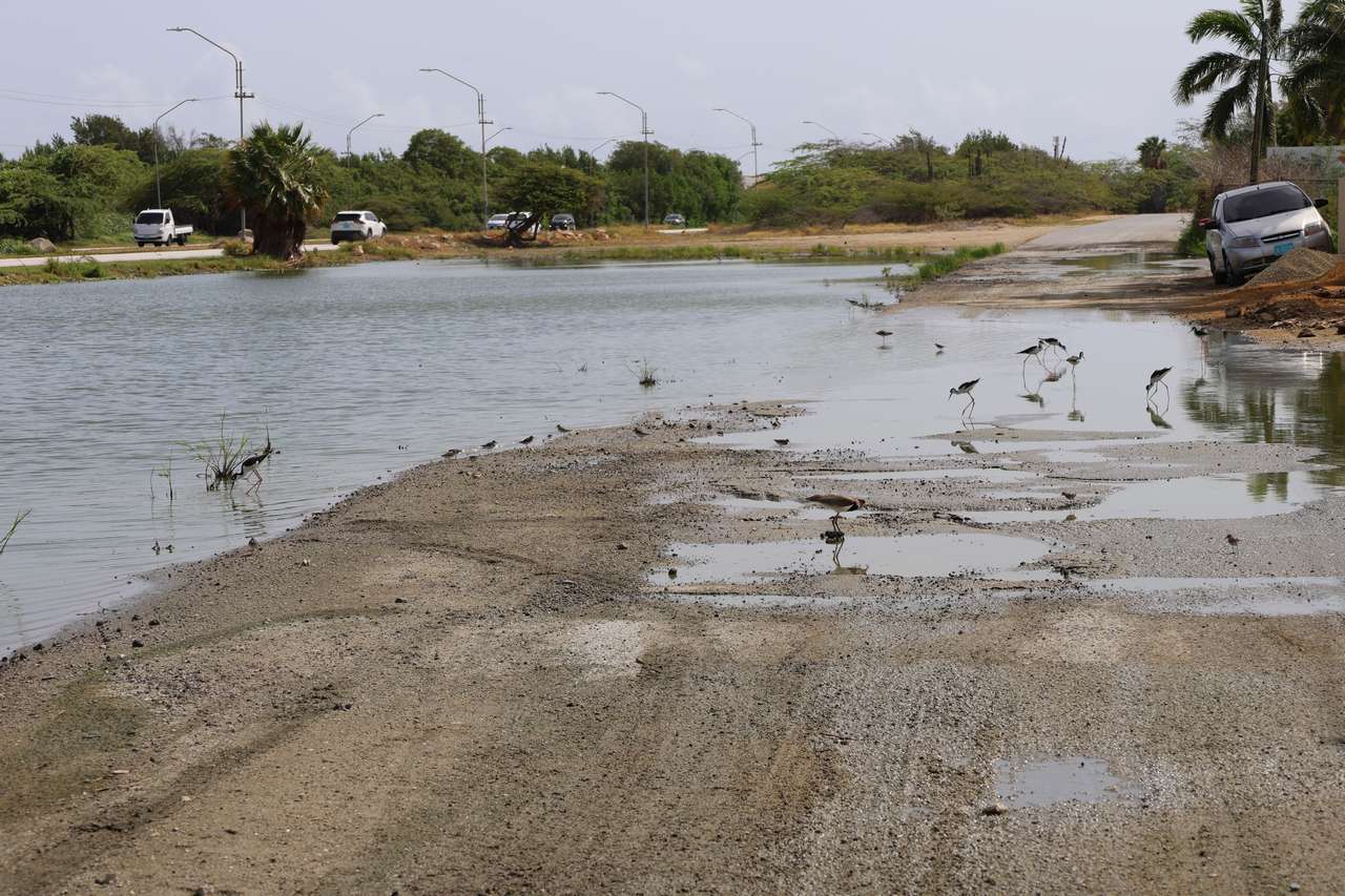 Floodwaters Recede in San Miguel With Help From D.O.W.