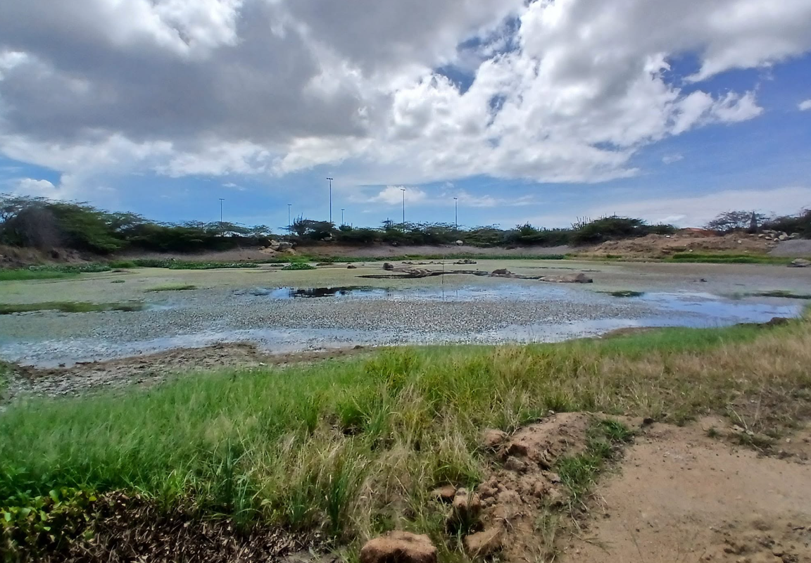 Aruba's Dams at Risk as Dry Season Brings Drought, Filth, and Mud