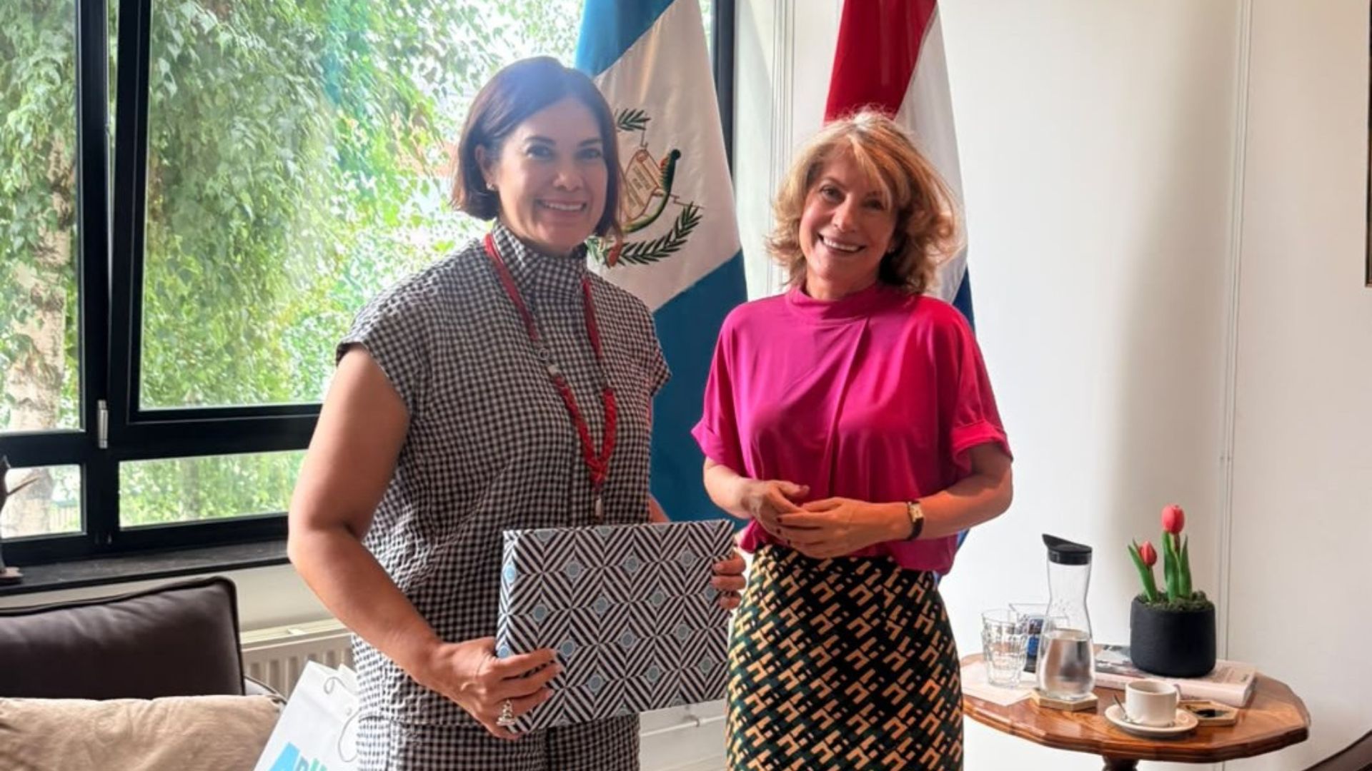 Aruba's Minister Plenipotentiary Pays Courtesy Visit to Guatemala's Ambassador