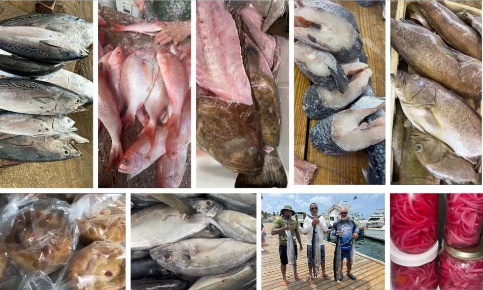 Dialuna mainta Campeon tin Dorao y filet di Pargo cu Tuna