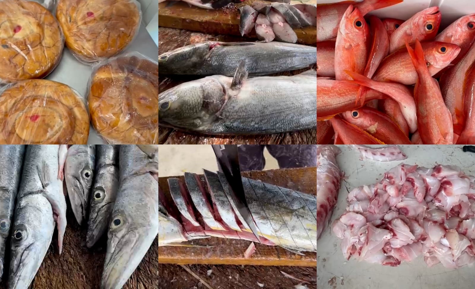 Campeon Self Service Opens Wednesday Morning with Fresh Fish