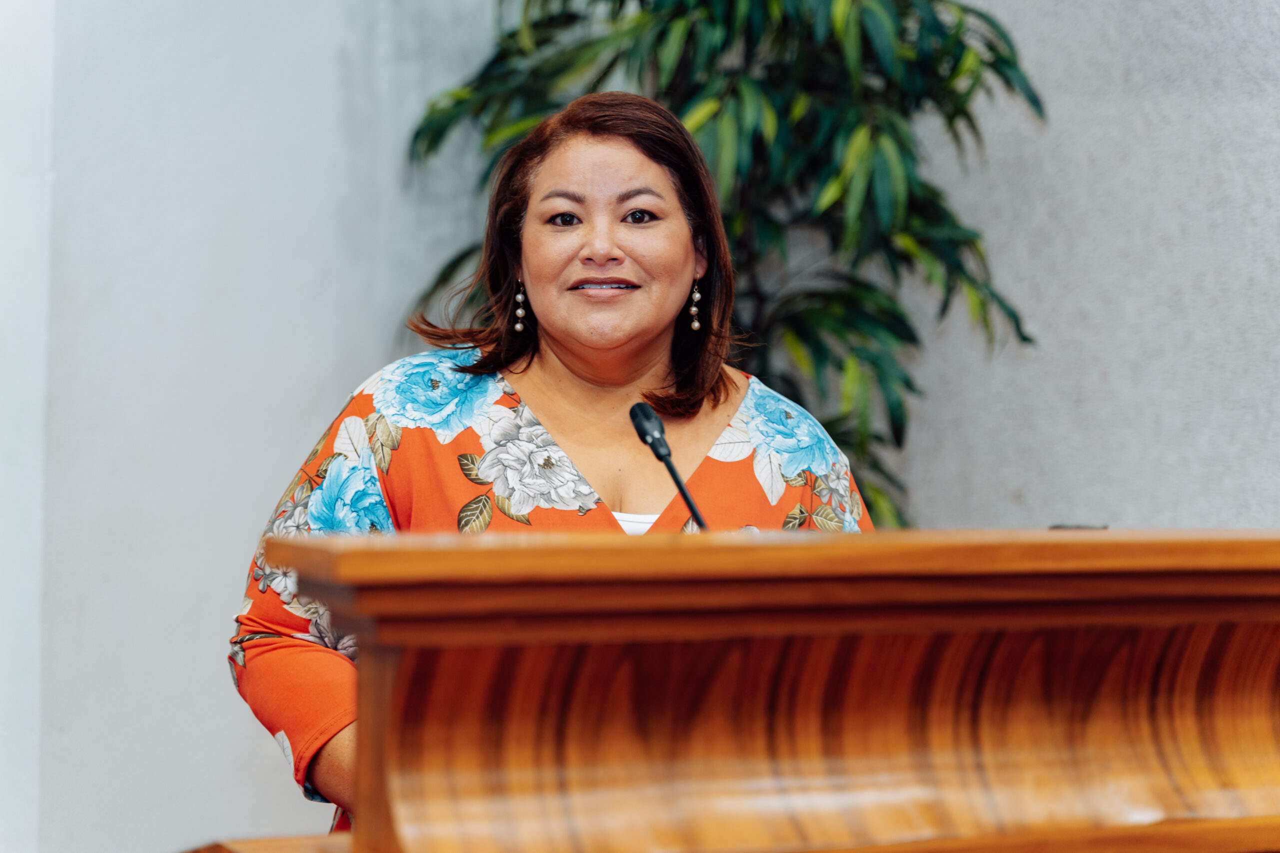 MEP MP: Minister Gerlien Croes ignores LAR advice on private jet travel