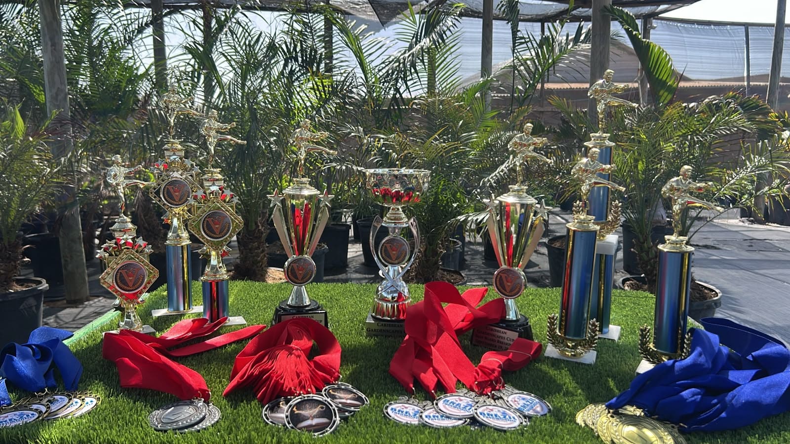Brazil Taekwondo Stichting ta preparando p’e Caribbean Gardenscapes Taekwondo Cup