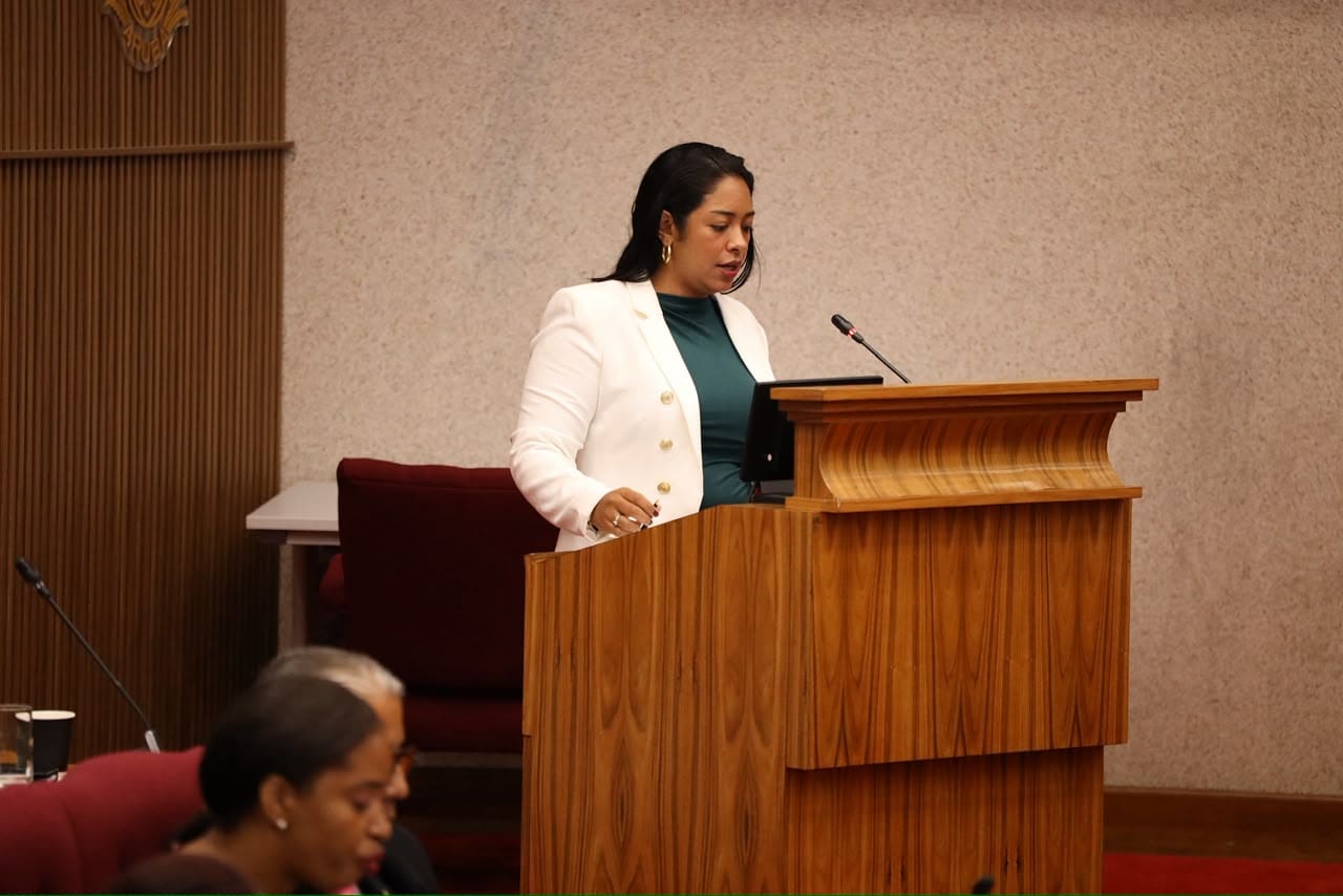 Stephany Sevinger (AVP): “Awe nos mester inverti pa recupera loke no a wordo haci ni manteni”