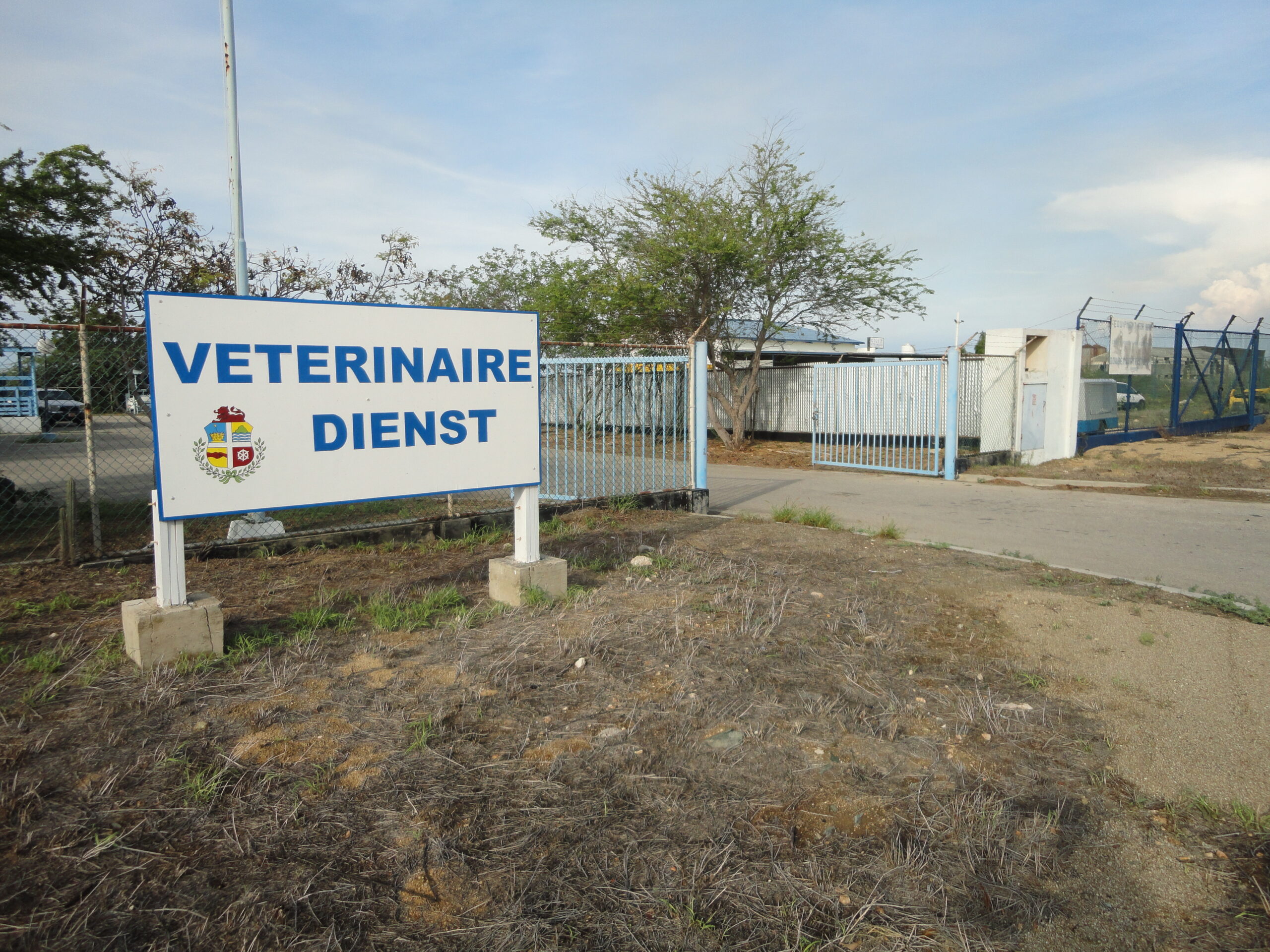 Veterinaire Dienst (Abattoir) cu recordatorio p’e temporada druk di november y december 2026
