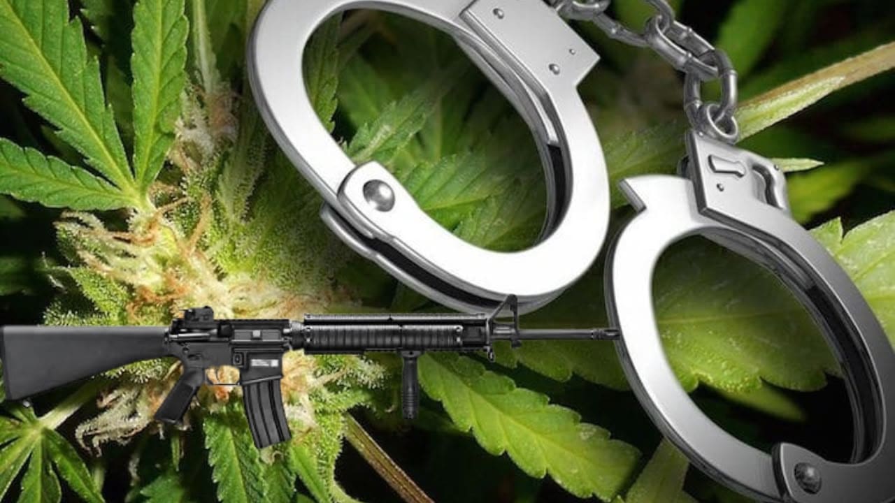 Unidad narcotica a detene seis persona: A haya cargacion di droga, municion y arma di candela