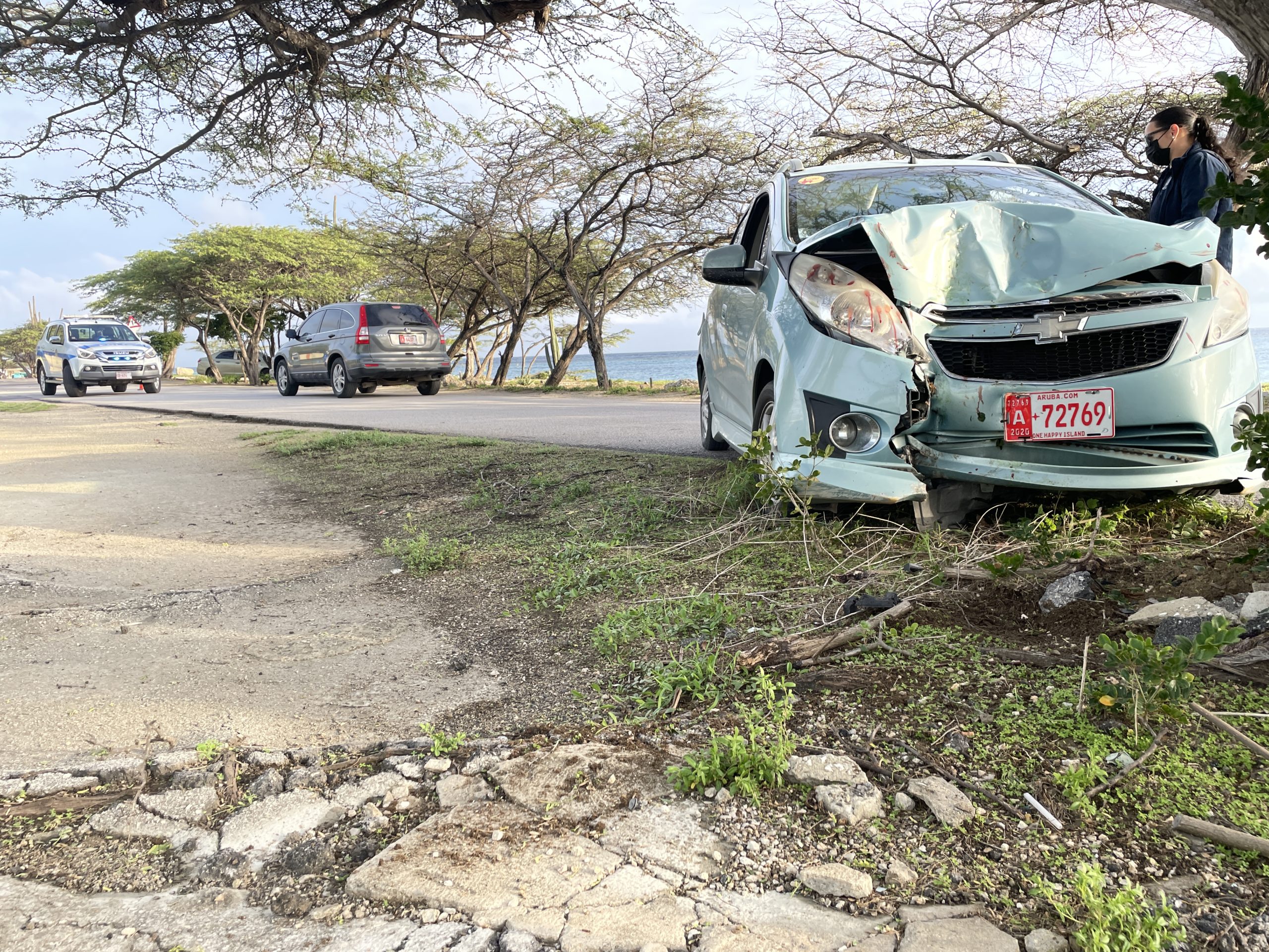 Driver loses control and hits tree | English - 24ora