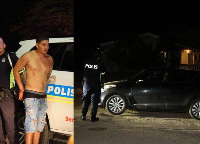 Driver arrested after hit & run | English - 24ora