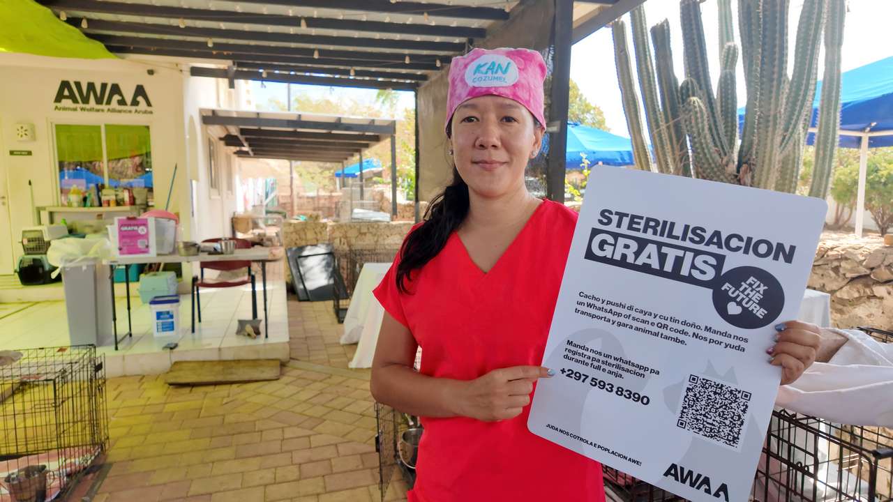 AWAA launches free sterilization campaign with visiting veterinarians ...
